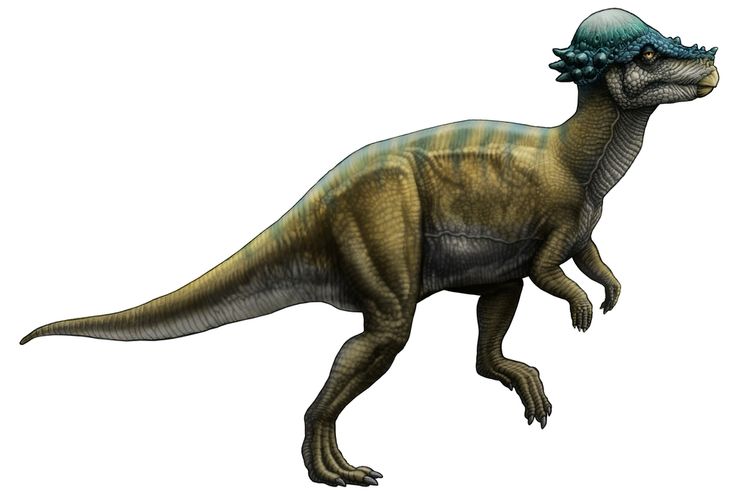 Detail Nama Dan Gambar Dinosaurus Nomer 7
