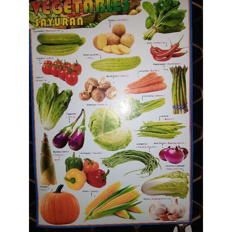 Detail Nama Dan Gambar Sayur Sayuran Nomer 12