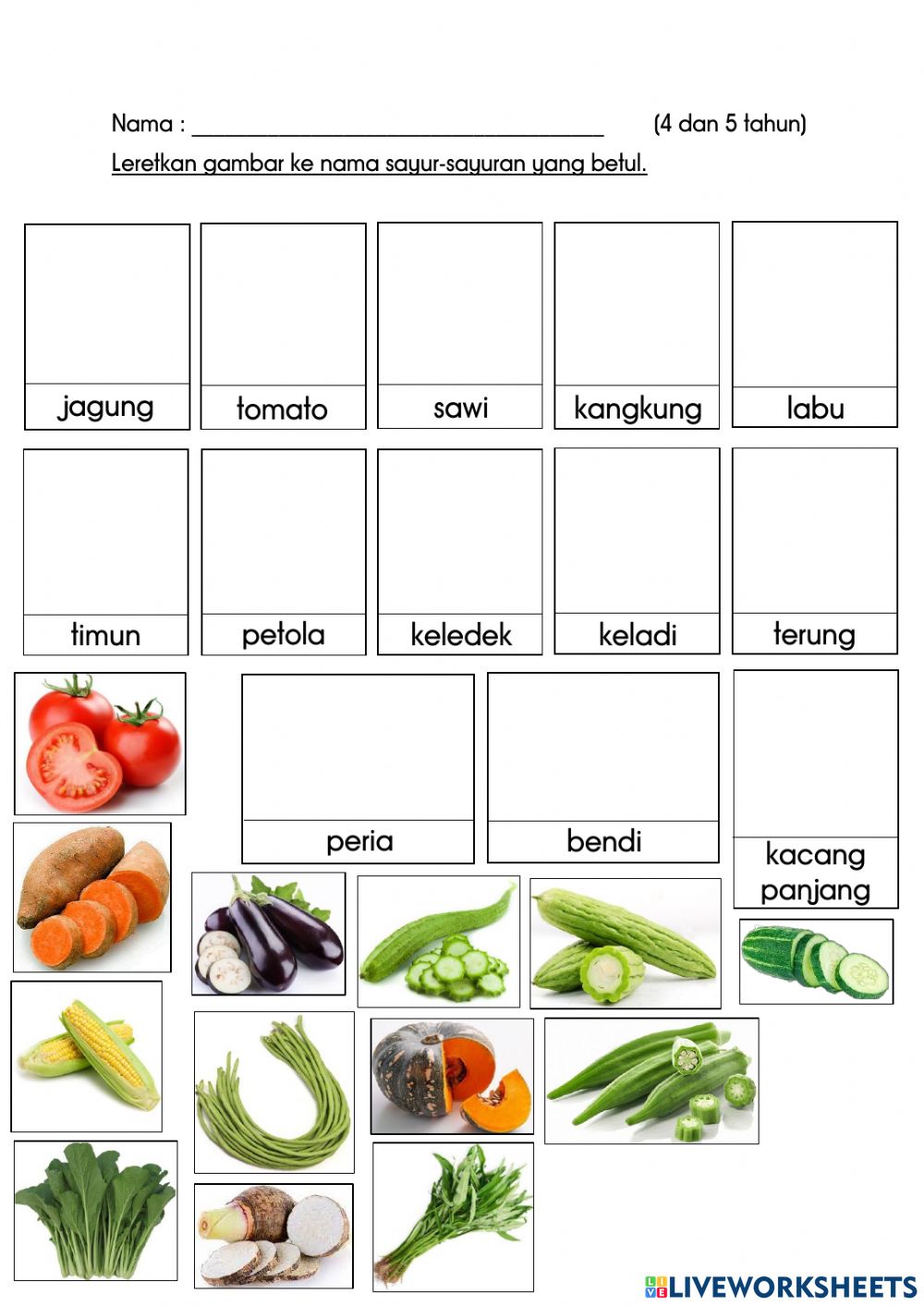 Detail Nama Dan Gambar Sayur Sayuran Nomer 13