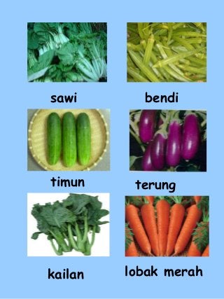 Detail Nama Dan Gambar Sayur Sayuran Nomer 17