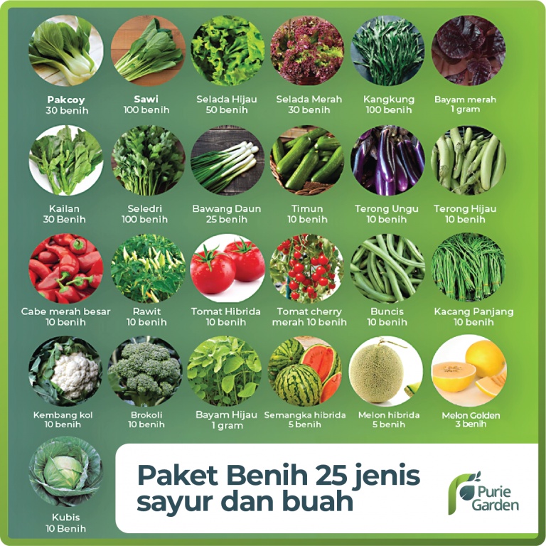 Detail Nama Dan Gambar Sayur Sayuran Nomer 18