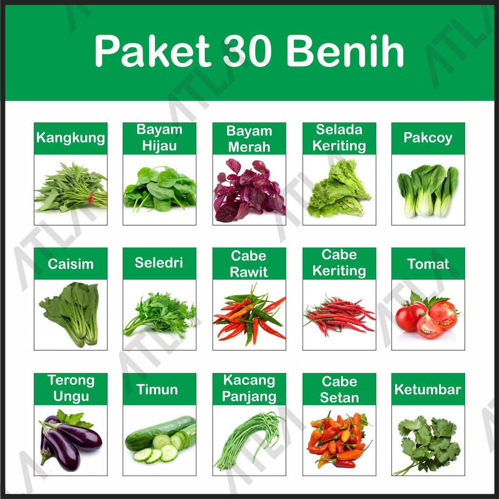 Detail Nama Dan Gambar Sayur Sayuran Nomer 22