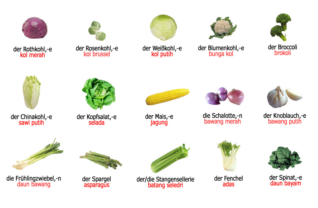 Detail Nama Dan Gambar Sayur Sayuran Nomer 32