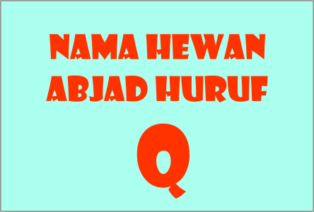 Detail Nama Hewan Huruf Q Nomer 19