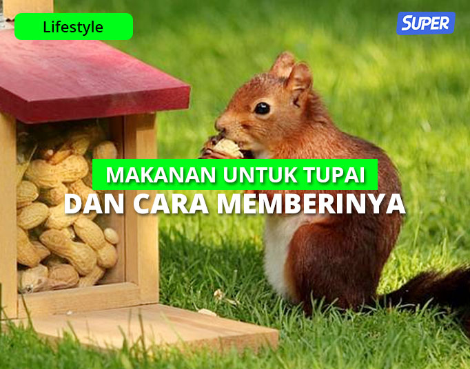 Detail Nama Kacang Makanan Tupai Nomer 22