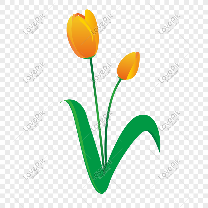 Detail Logo Bunga Tulip Nomer 11