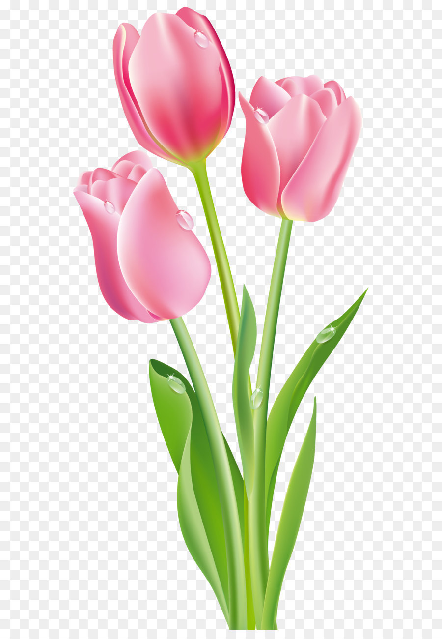 Detail Logo Bunga Tulip Nomer 14
