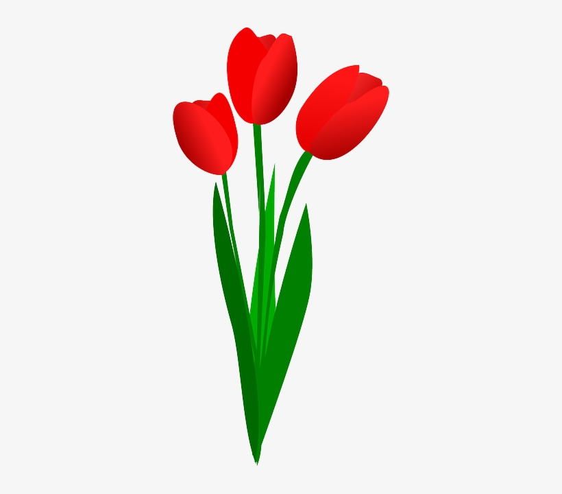 Detail Logo Bunga Tulip Nomer 19