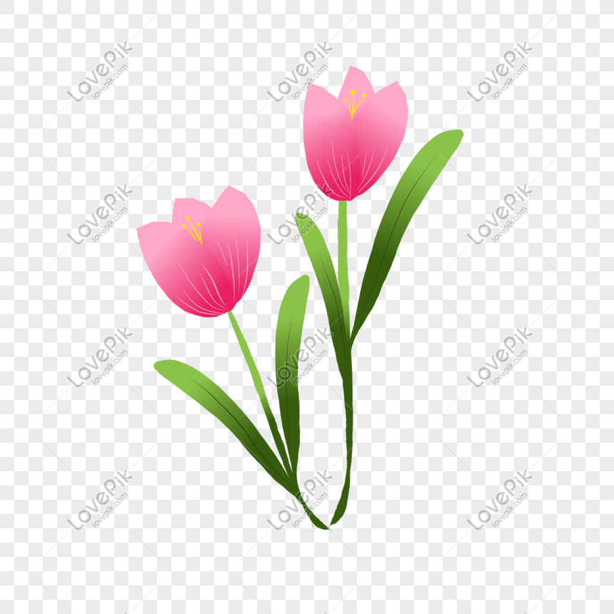 Detail Logo Bunga Tulip Nomer 21