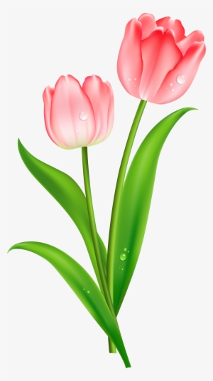 Detail Logo Bunga Tulip Nomer 22