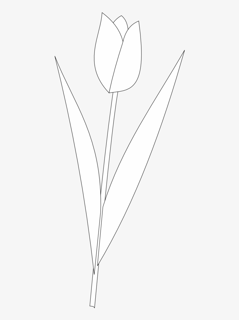 Detail Logo Bunga Tulip Nomer 4