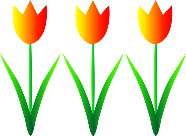 Detail Logo Bunga Tulip Nomer 29