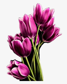 Detail Logo Bunga Tulip Nomer 37