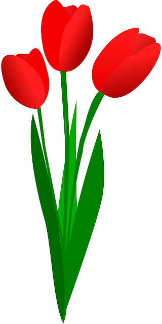 Detail Logo Bunga Tulip Nomer 53