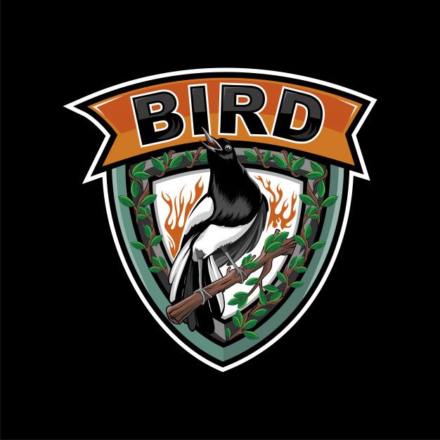 Detail Logo Burung Kacer Nomer 33