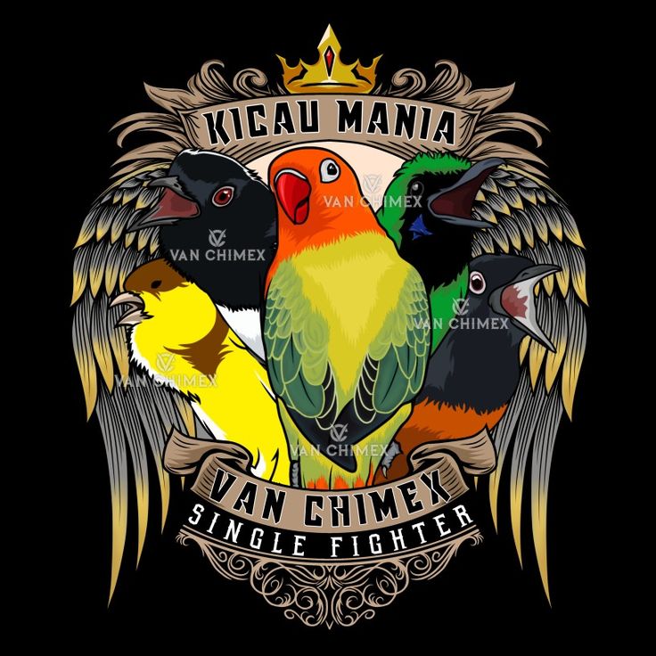 Detail Logo Burung Kacer Nomer 8