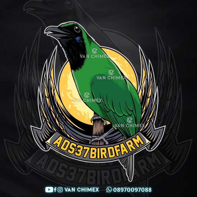 Detail Logo Burung Kicau Nomer 11