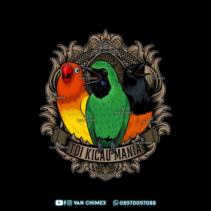 Detail Logo Burung Kicau Nomer 8