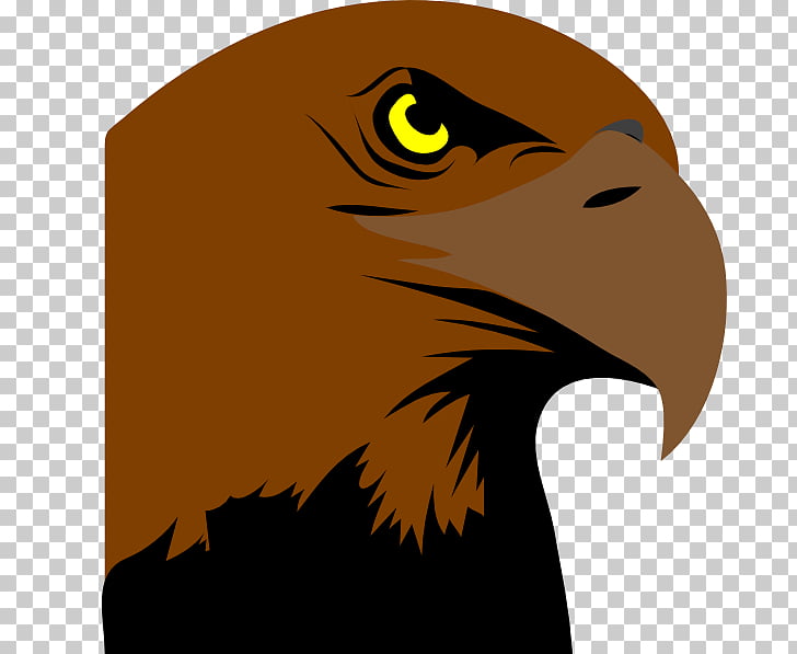 Detail Logo Burung Rajawali Nomer 48