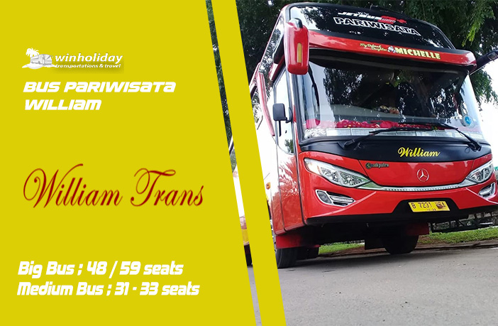 Simphony: Sebuah Simfoni Visual dalam Logo Bus Pariwisata