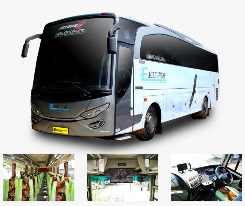 Lebih dari Sekadar Gambar: Eksplorasi Kreativitas dan Efektivitas Logo Bus Pariwisata Kartun