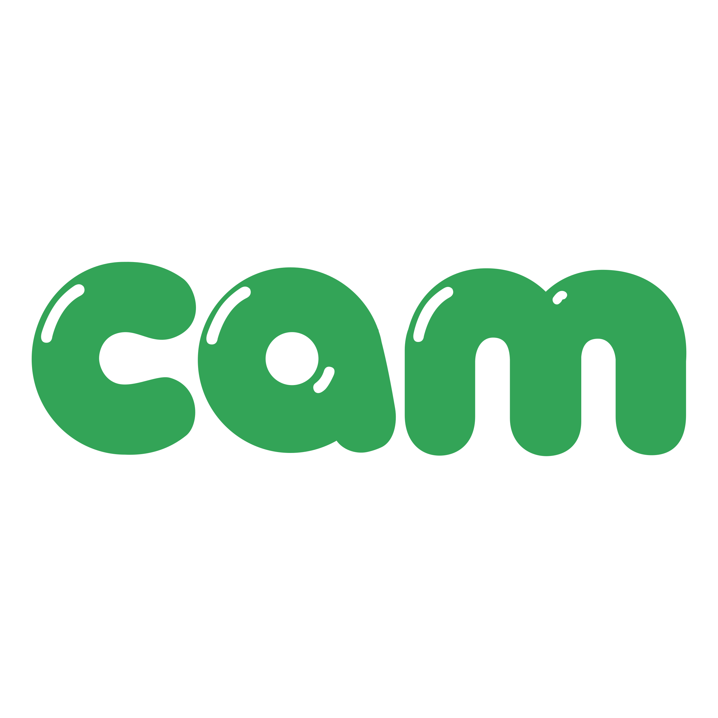 Logo Cam - KibrisPDR