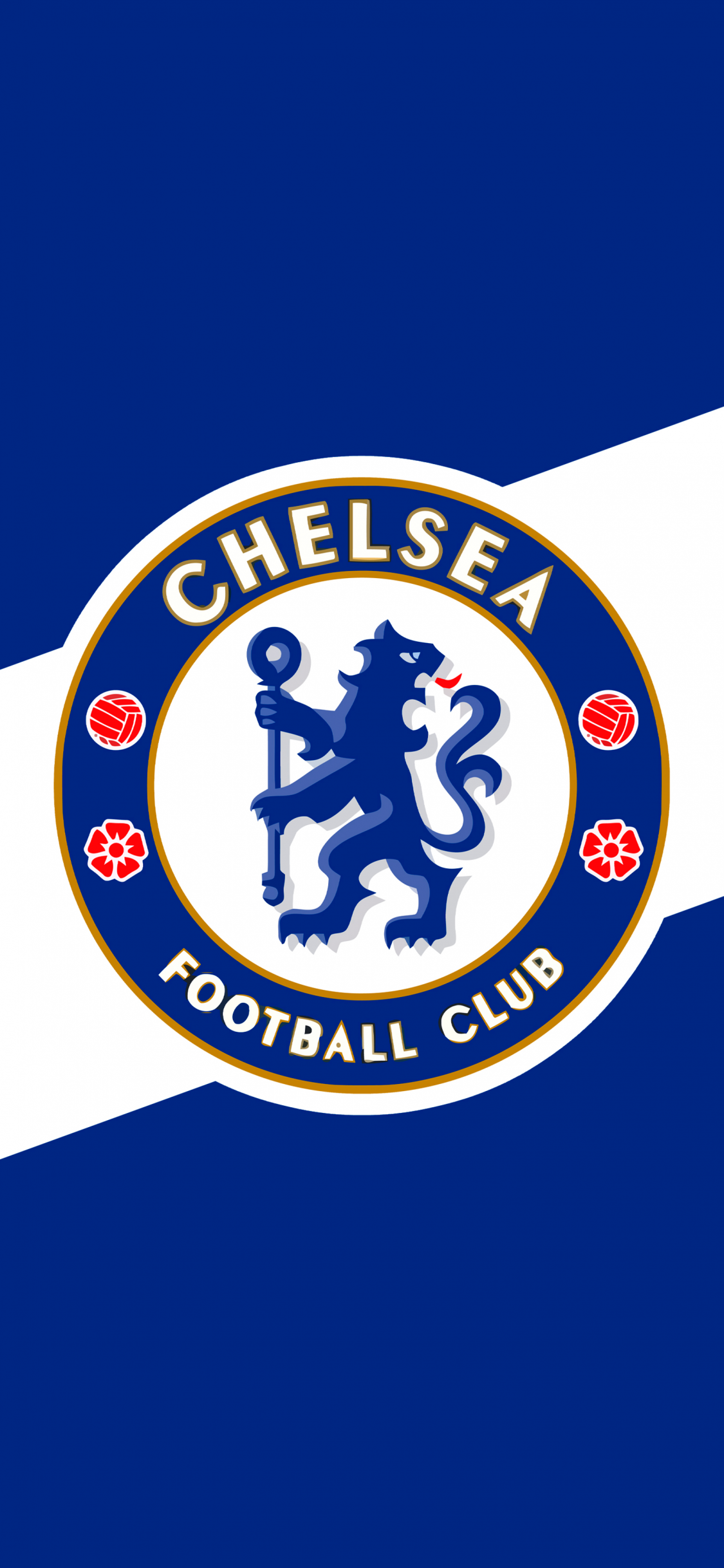 Detail Logo Chelsea 2021 Nomer 20