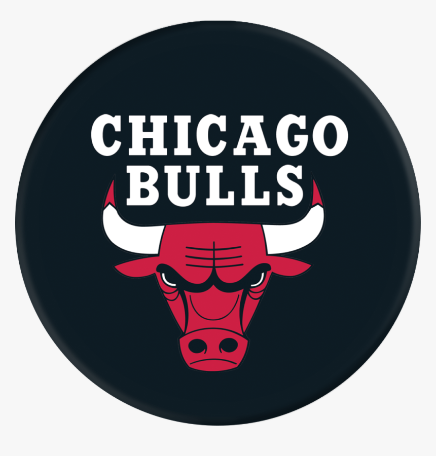 Detail Logo Chicago Bulls Png Nomer 5