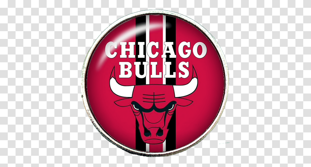 Detail Logo Chicago Bulls Png Nomer 48