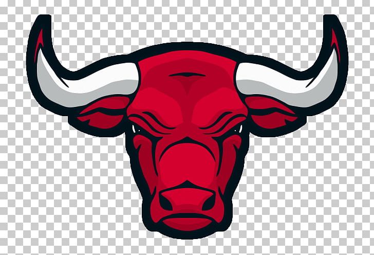 Detail Logo Chicago Bulls Png Nomer 49