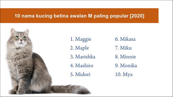 Detail Nama Kucing Dari Huruf M Nomer 3