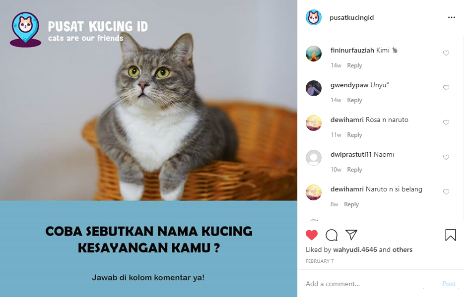 Detail Nama Kucing Dari Huruf M Nomer 5