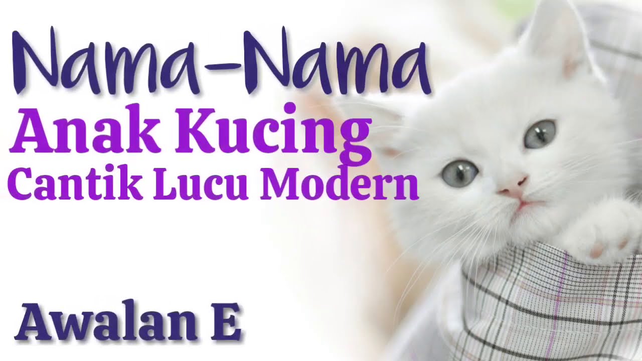 Detail Nama Kucing Huruf M Nomer 8