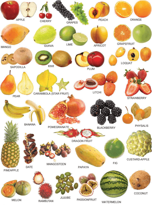 Nama Nama Buah Dan Gambar - KibrisPDR