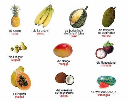 Download Nama Nama Buah Dan Gambar Nomer 11