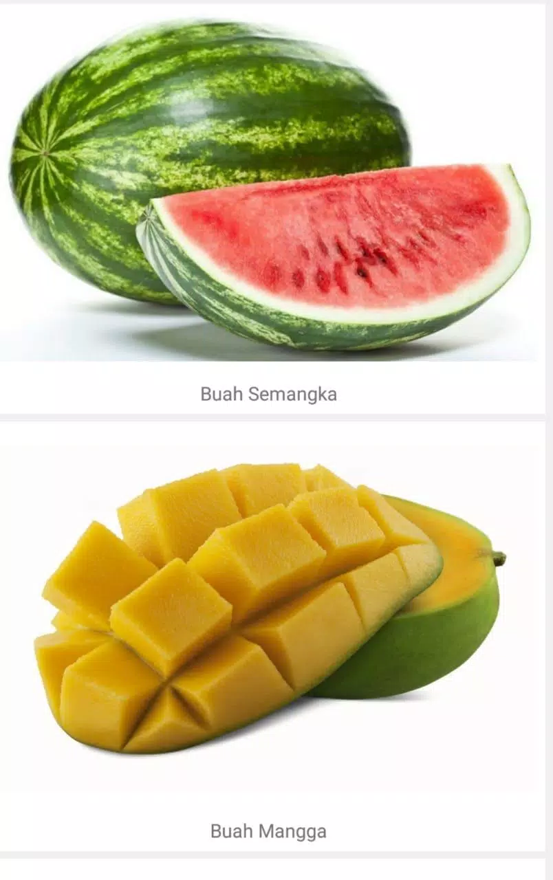 Detail Nama Nama Buah Dan Gambar Nomer 15