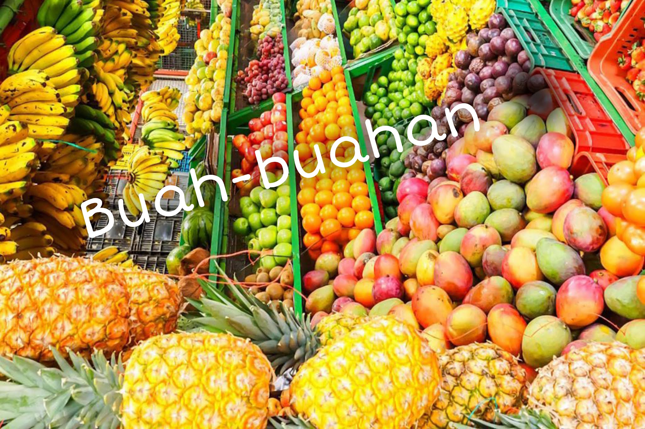 Detail Nama Nama Buah Dan Gambar Nomer 28