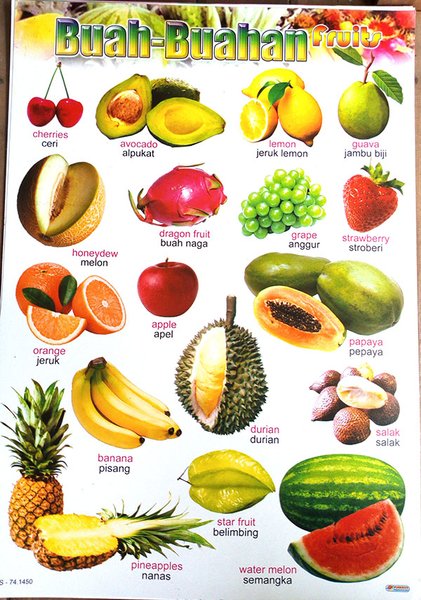 Download Nama Nama Buah Dan Gambar Nomer 34