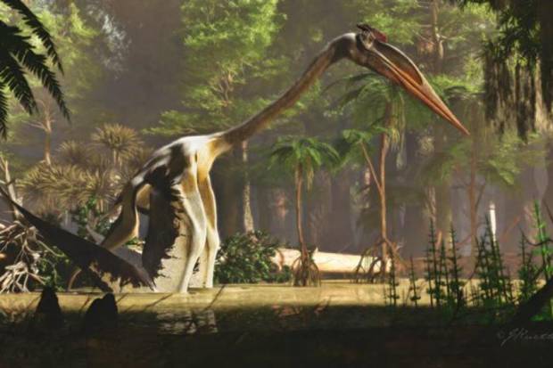 Detail Nama Nama Dinosaurus Terbang Nomer 11