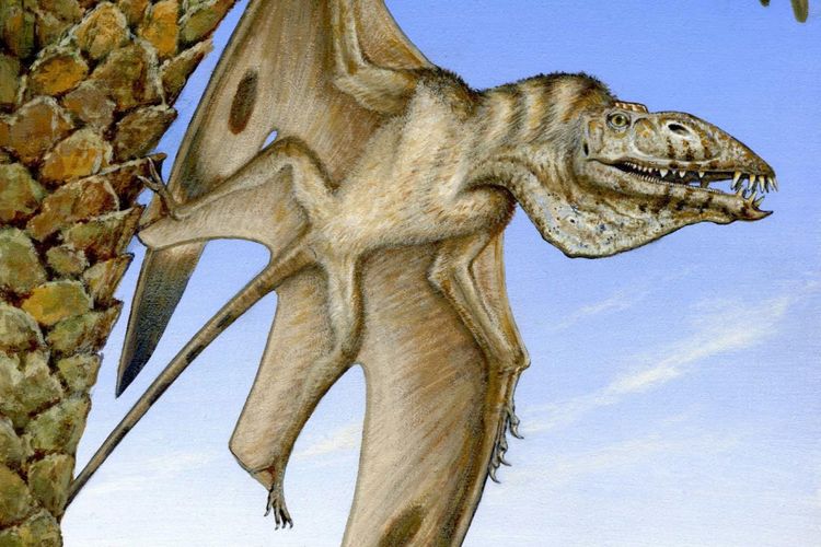 Detail Nama Nama Dinosaurus Terbang Nomer 32