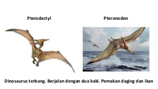 Detail Nama Nama Dinosaurus Terbang Nomer 50