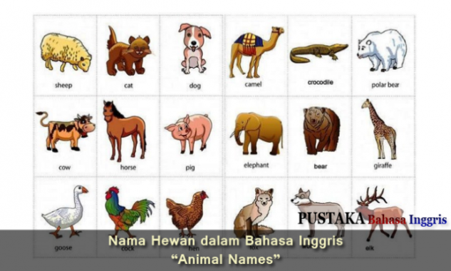 Detail Nama Nama Hewan Dan Gambarnya Nomer 11