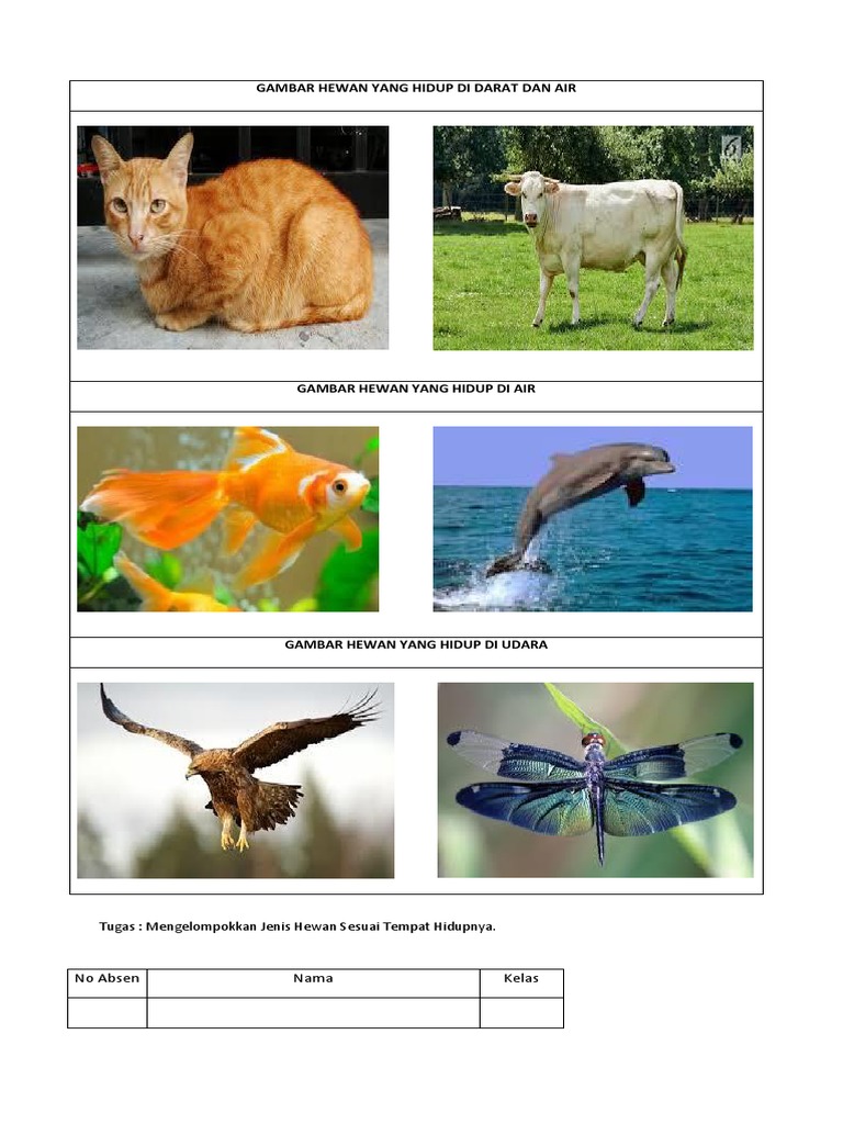 Detail Nama Nama Hewan Darat Dan Gambarnya Nomer 6