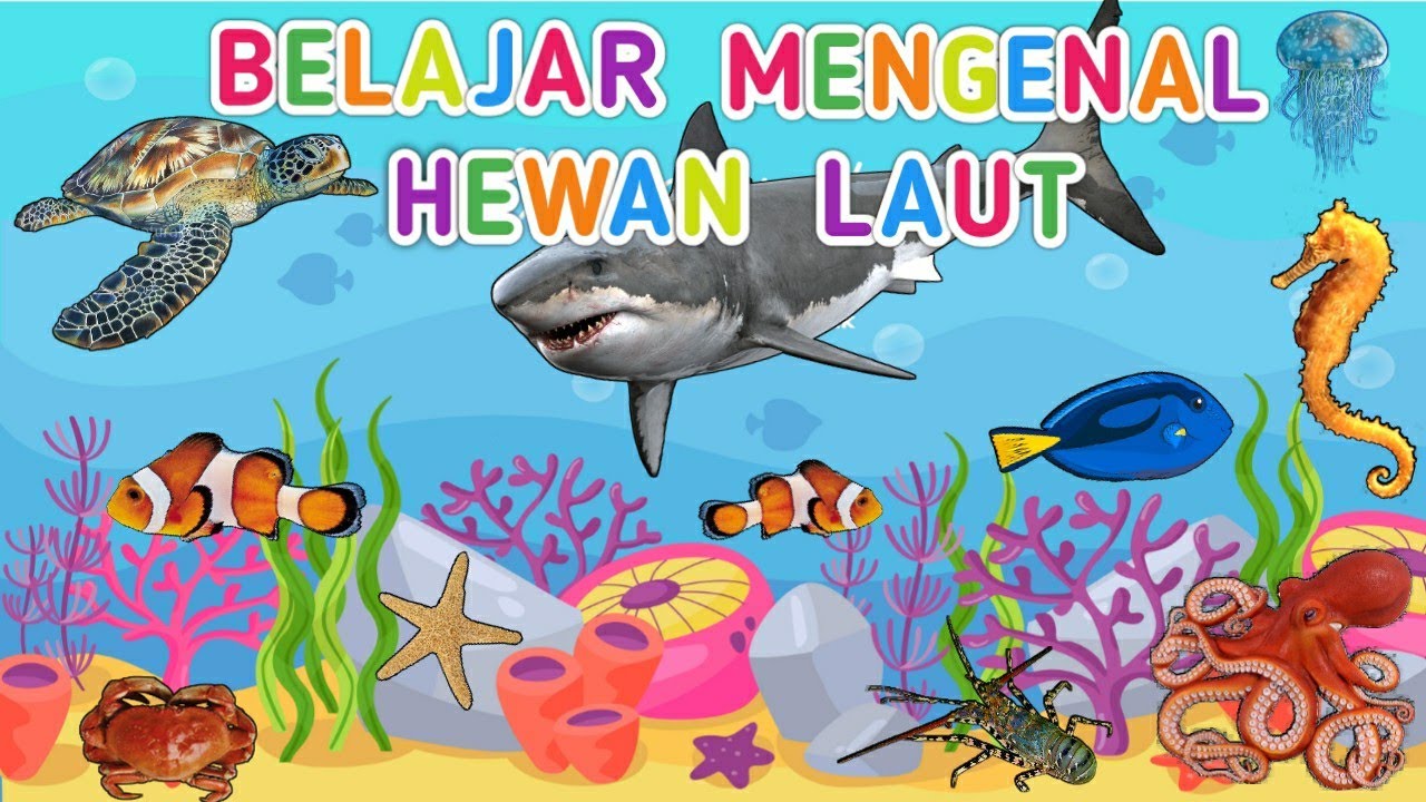 Detail Nama Nama Hewan Di Laut Nomer 3