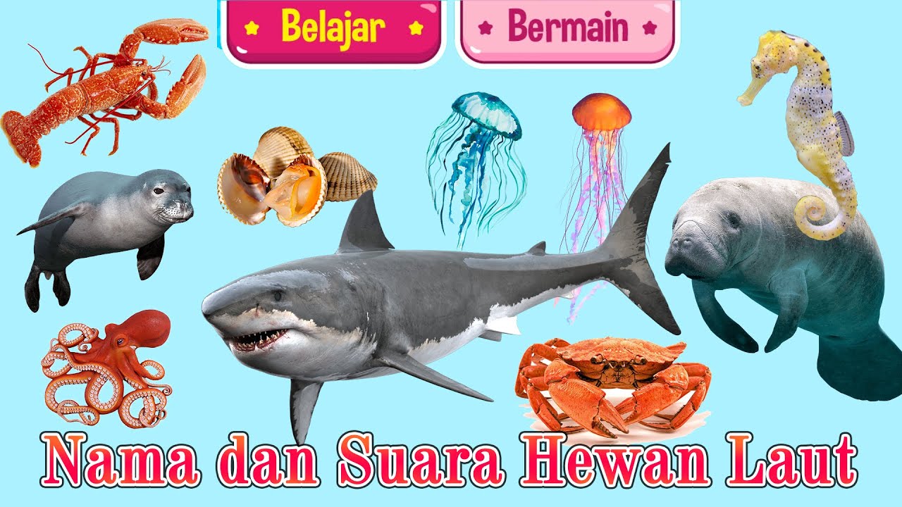 Detail Nama Nama Hewan Di Laut Nomer 4