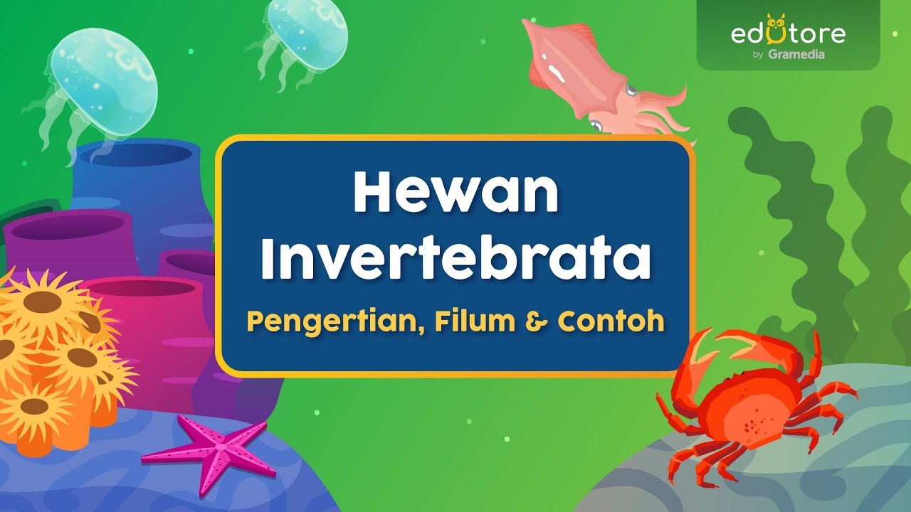 Detail Nama Nama Hewan Invertebrata Nomer 31