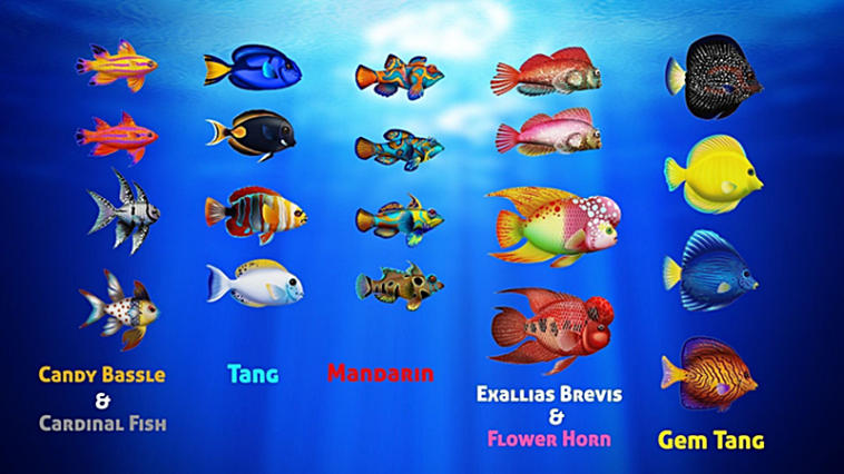 Detail Nama Nama Ikan Dan Gambarnya Nomer 6