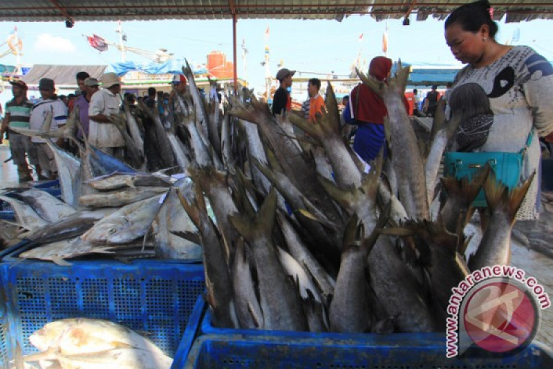 Detail Nama Nama Ikan Di Pasar Nomer 21