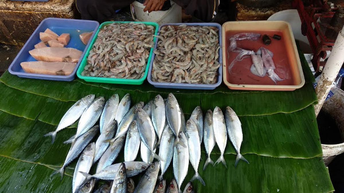 Detail Nama Nama Ikan Di Pasar Nomer 25