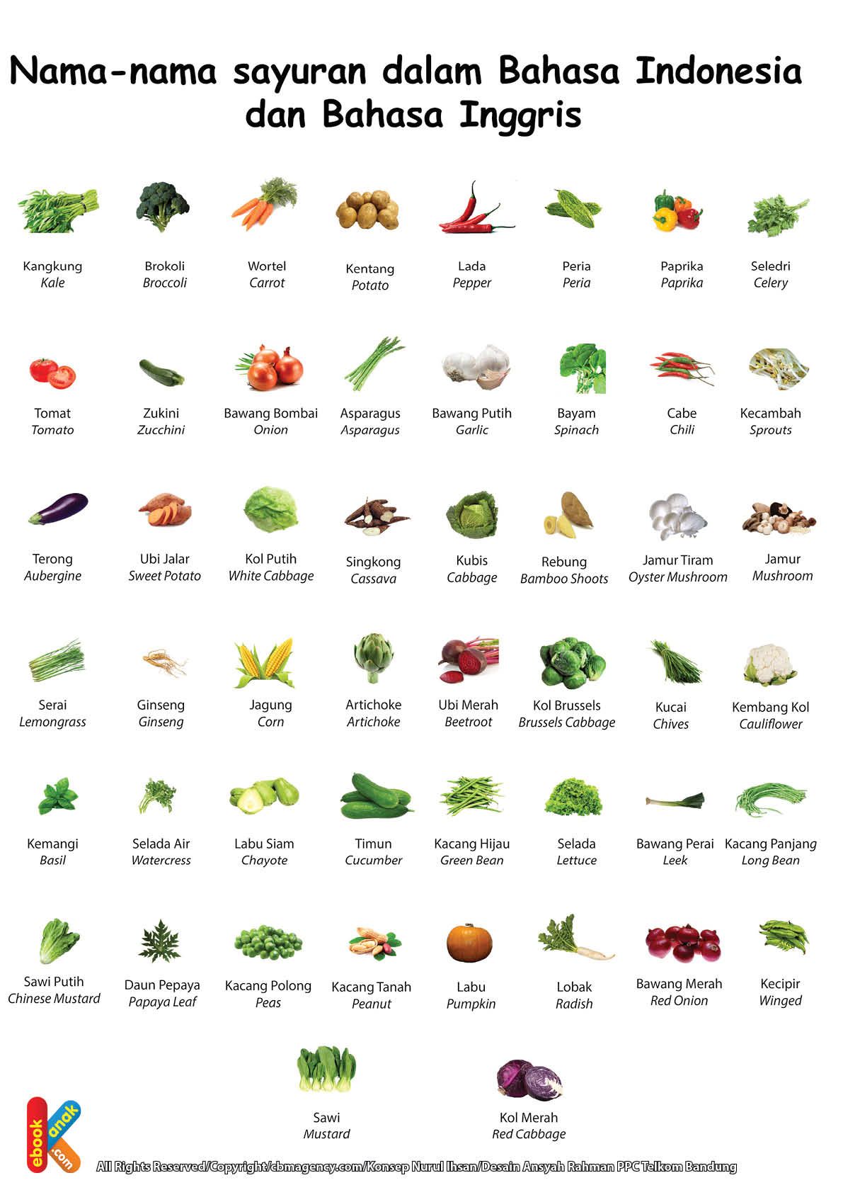 Detail Nama Nama Sayuran Dan Gambarnya Nomer 11
